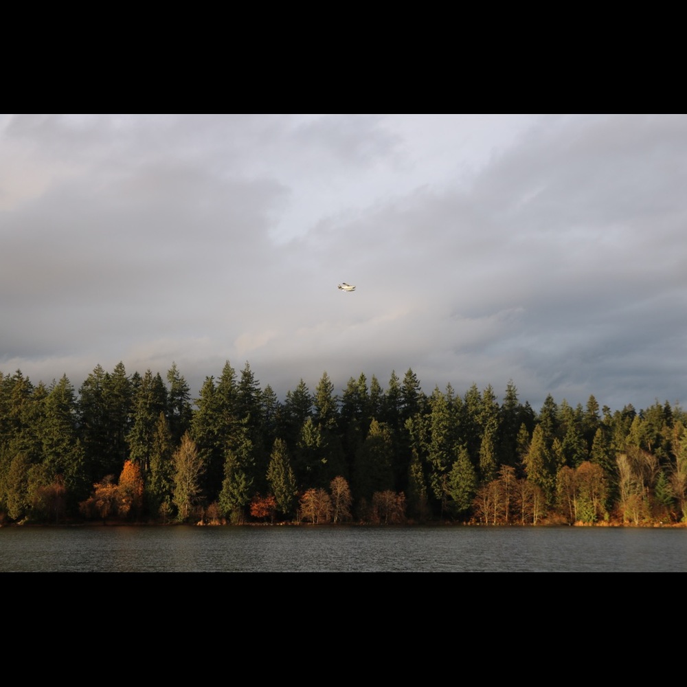 Meet your Posher, Mia